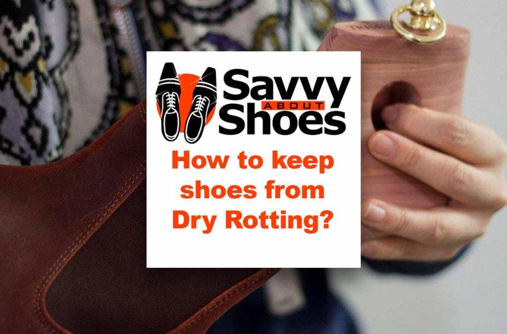 how-to-keep-shoes-from-dry-rotting