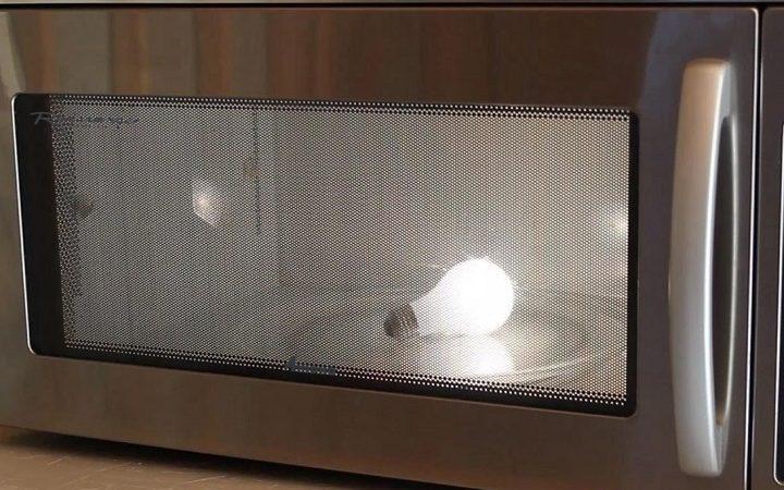 Can You Dry Shoes in the Microwave?